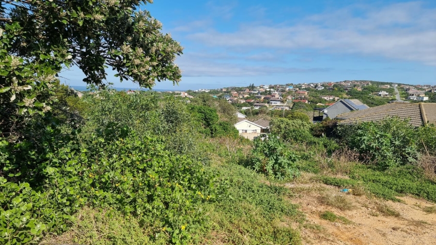 0 Bedroom Property for Sale in Forest Downs Eastern Cape